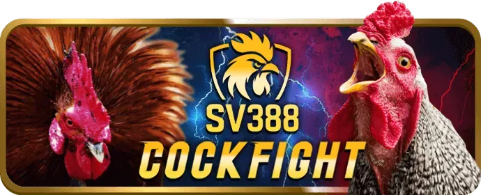 Quà tặng sinh nhật và lễ tết đặc biệt cho VIP 66clup code